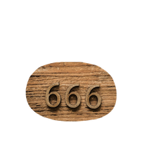 666
