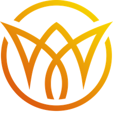 Vis